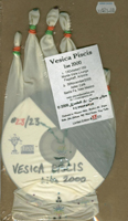Vesica Piscis - Live 2000