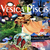 Vesica Piscis - Cathedral Collection Vol. 1